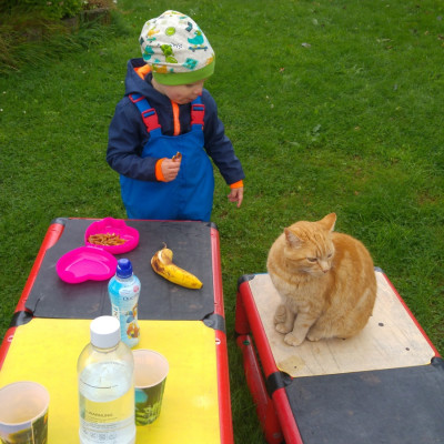 Frühstück mit Kater Danny