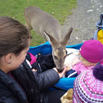 Ausflug zum Wildtierpark