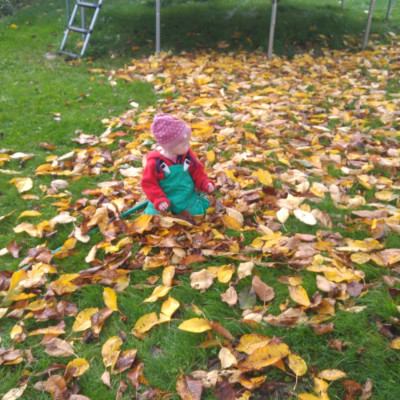 Die Blätter fallen... Die Blätter fallen...