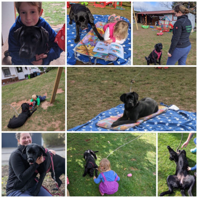 Hunde-Dame Maddy Hunde-Dame Maddy